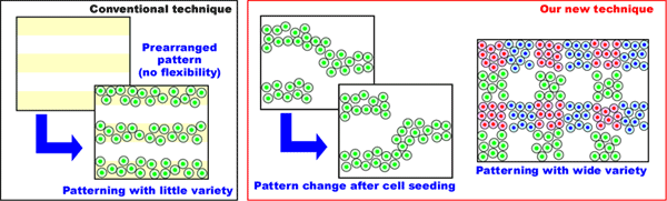 Fig5