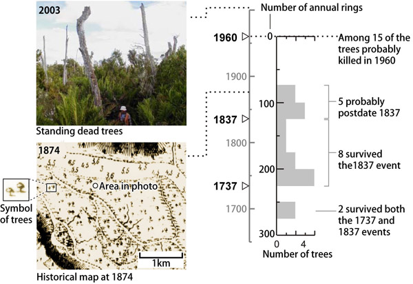 Fig.3