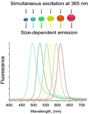 Figure2