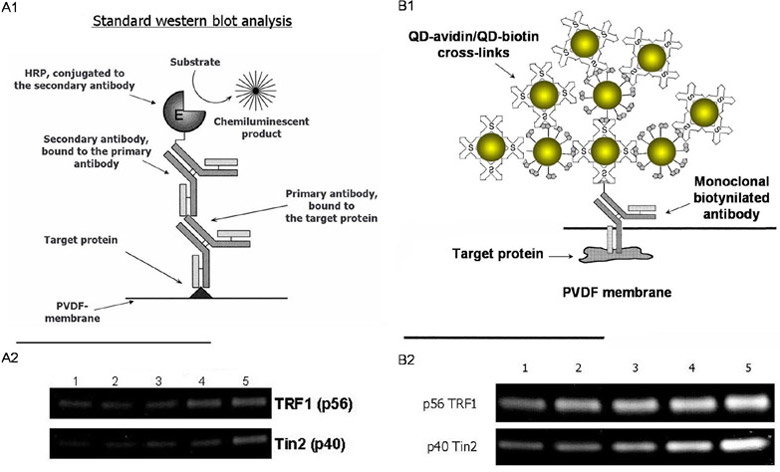 Figure4