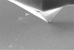 Figure5 (c)