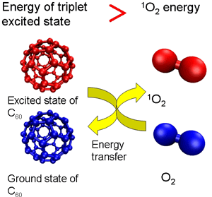 Figure 1 (a)