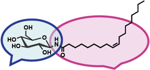 Glucose