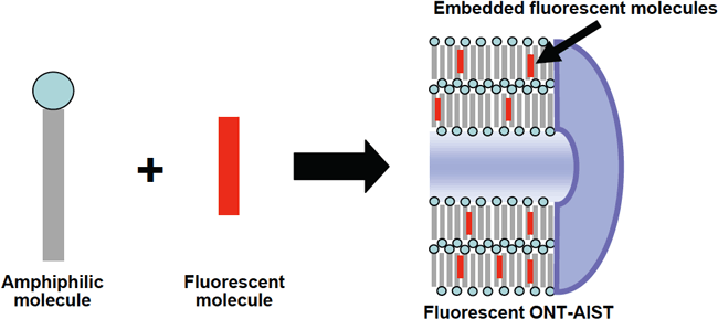 Figure4