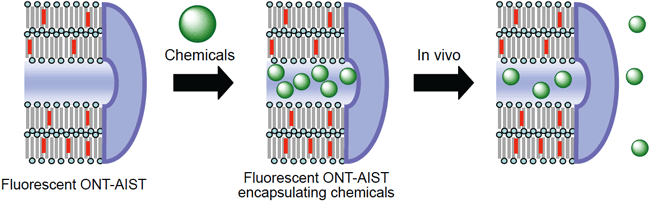 Figure7