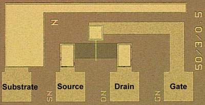 Photo:Optical microscopic image