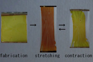 Figure 2 (letf)