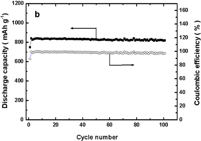 Figure 1 (Right)