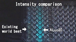 Summary figure