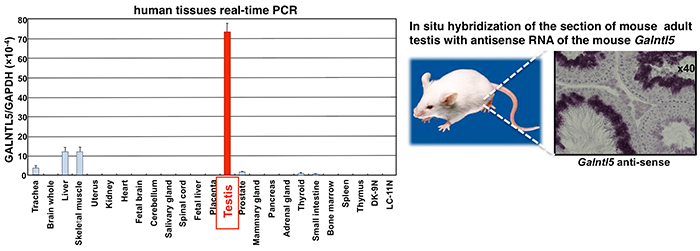 Summary figure