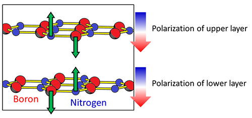 Figure 2a