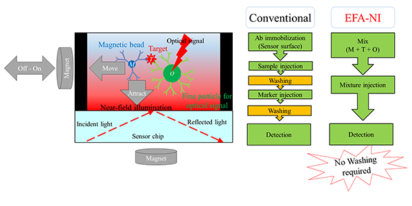 Figure of Basic principles of the EFA-NI biosensor and the required number of steps compared with that of the conventional method