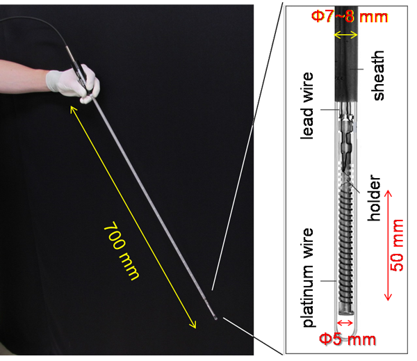 Figure of Appearance of the newly developed platinum resistance thermometer and sensor at the tip