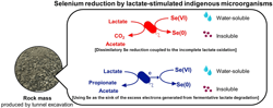 Figure of new research results Energy and Environment