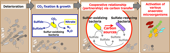 Figure of new research results