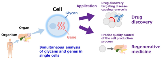 Figure of new research results