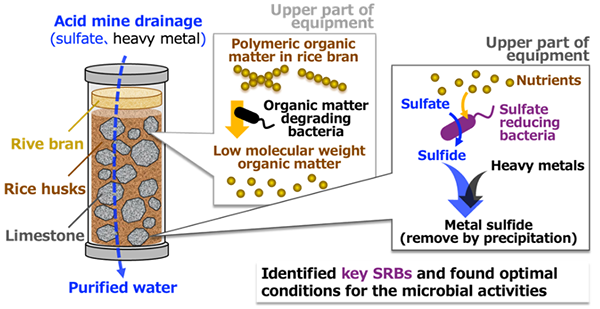 Figure of new research results