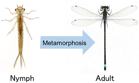 Figure of new research results