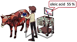 Figure of new research results Geological Survey of Japan