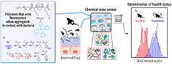Figure of new research results Life Science and Biotechnology