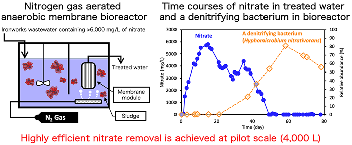 Figure of new research results