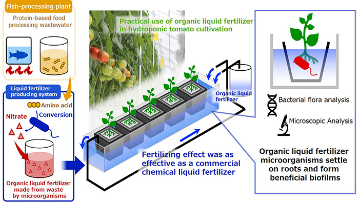 Figure of new research results