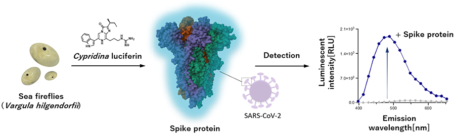 Figure of new research results