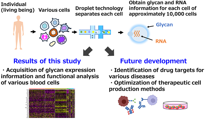 Figure of new research results