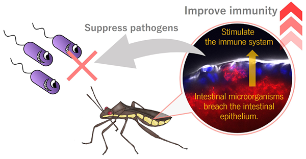 Figure of new research results