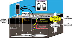 Figure of new research results Geological Survey of Japan