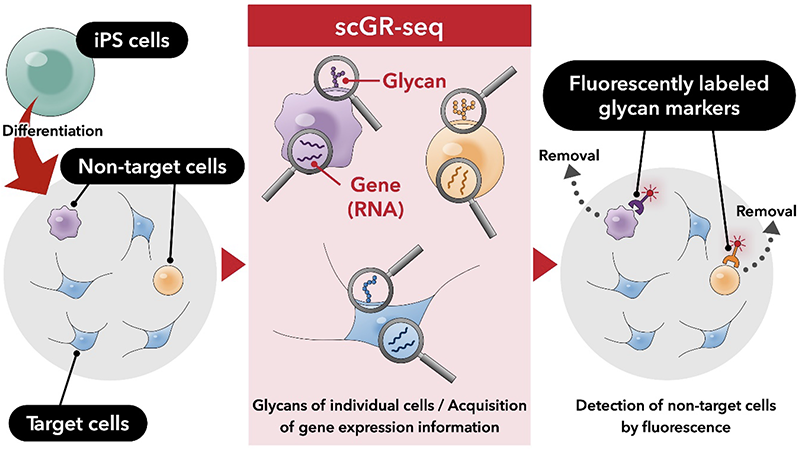 Figure of new research results