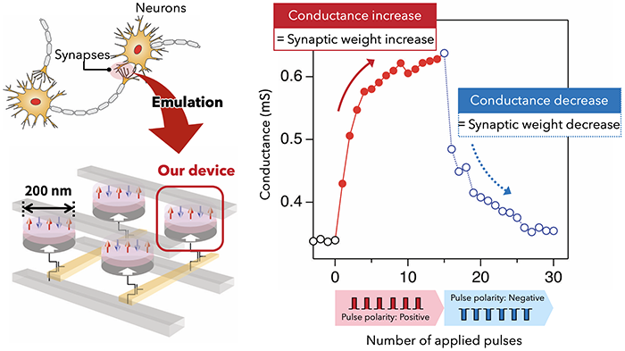 Figure of new research results