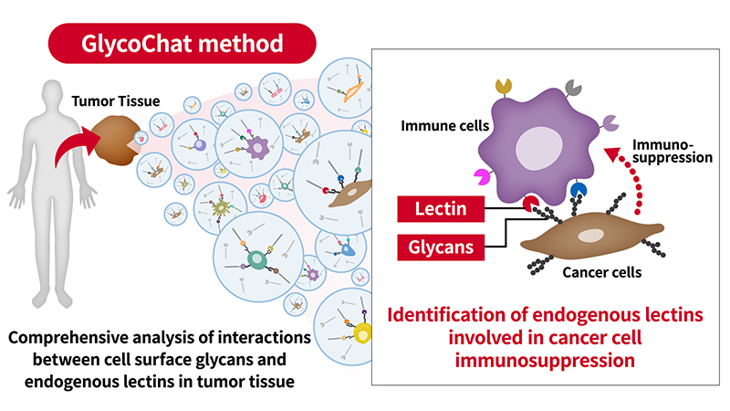 Figure of new research results