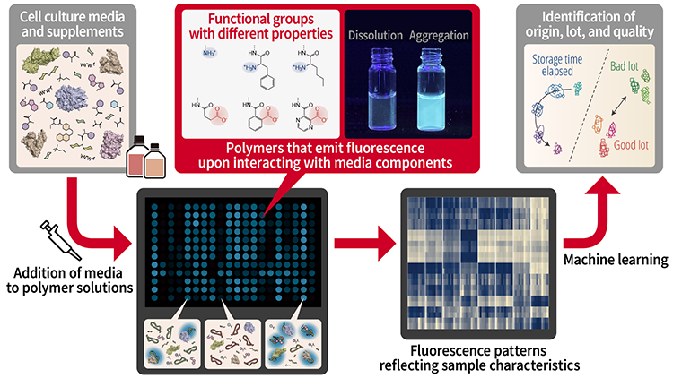 Figure of new research results