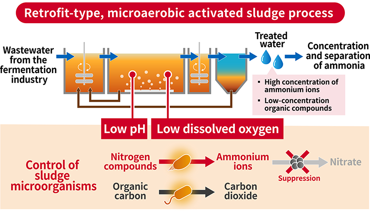 Figure of new research results