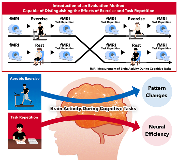 Figure of new research results