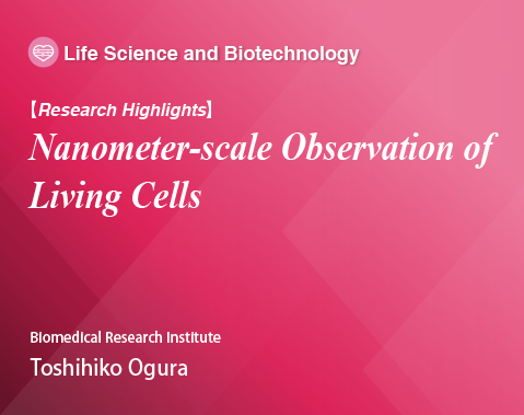 Nanometer-scale Observation of Living Cells