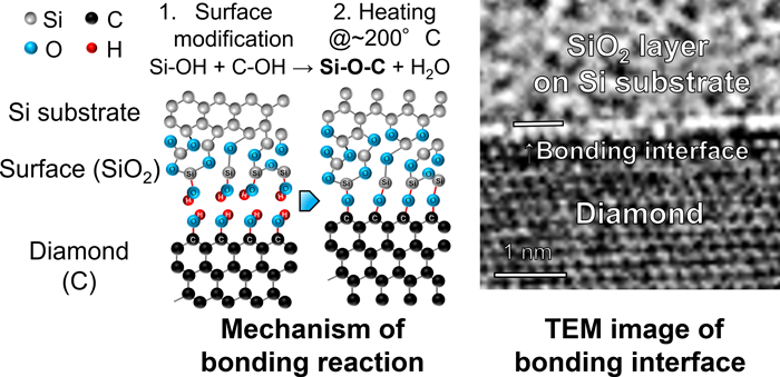 Figure: Mechanism of bonding reaction	and TEM image of bonding interface