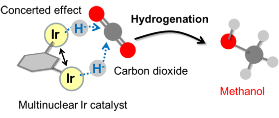 Figure: Methanol synthesis by hydrogenation of carbon dioxide using a multinuclear iridium catalyst 