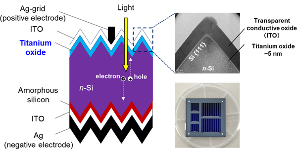 Figure: Conceptual diagram of fabricated solar cell structure