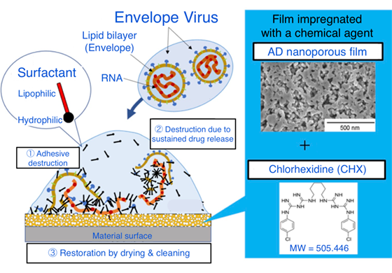 Figure: Inactivation of viruses on the surface of a ceramic porous film carrying an antiviral agent