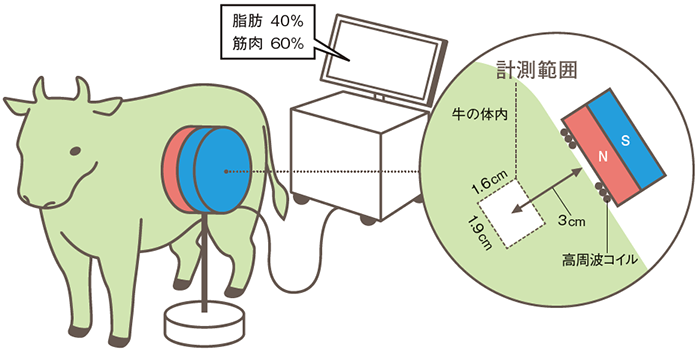 片側開放型NMR装置