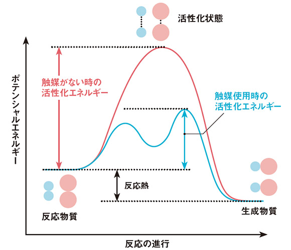 化学反応における物質のエネルギーの状態と触媒反応