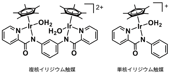 開発した触媒の構造