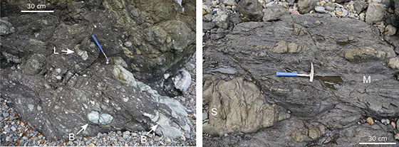 混在した岩相を示す付加体の写真