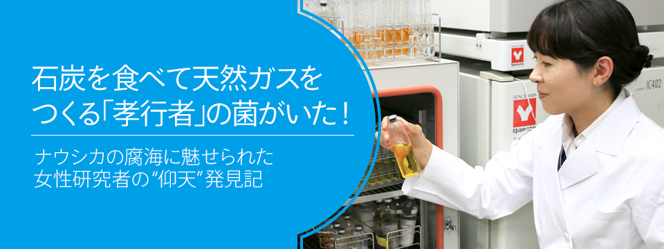 さがせ、おもしろ研究！ ブルーバックス探検隊が行く 石炭を食べて天然ガスをつくる「孝行者」の菌がいた！ 腐海に憧れた女性研究者の“仰天”発見記