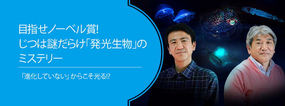 さがせ、おもしろ研究！ ブルーバックス探検隊が行く 第20回　目指せノーベル賞！じつは謎だらけ「発光生物」のミステリー