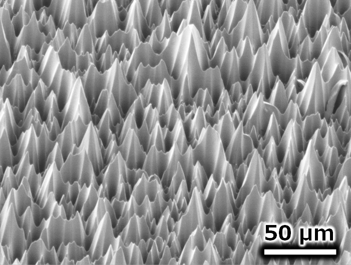 電子顕微鏡でみた暗黒シートの表面の写真、穴の深さが数十マイクロメートルの凸凹が並ぶ