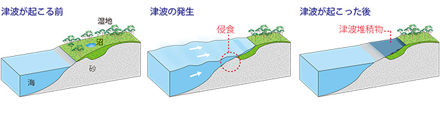 津波堆積物が残されるプロセスの図