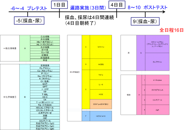 採血・採尿における試験項目の図